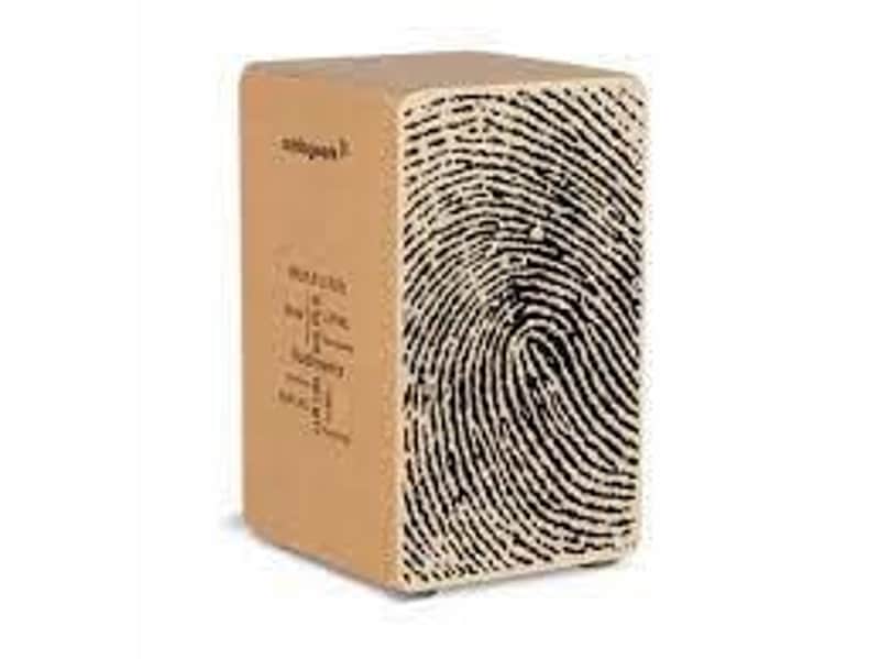 Schlagwerk - CP82 - Cajon Rudiments Fingerprint image 1