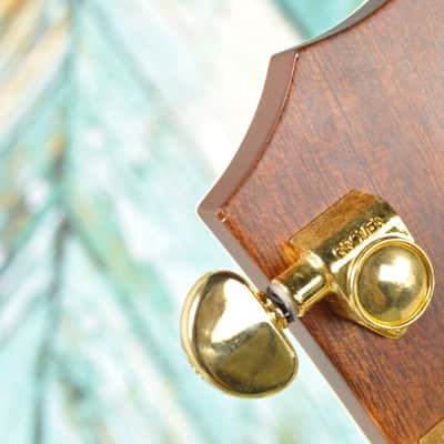Taylor  814ce-LTD Brazilian Rosewood Acoustic Guitar image 21