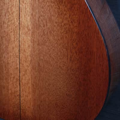 Eastman E10P-TC Thermo-Cure Parlor Guitar Mahogany / Adirondack image 9