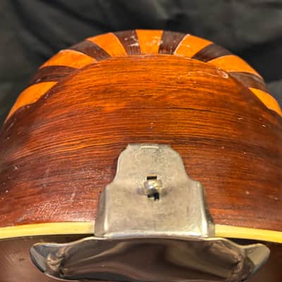 Bruno Bowlback Mandolin - Brazilian RW & Birds Eye Maple - Early 1900s - Great Player - All Org. - Case - Ships FREE!!! image 15