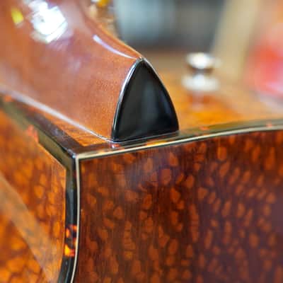 Fender FA-345CE Auditorium Acoustic-Electric Guitar 2017 3-Color Tea Burst w/Hard Case image 12