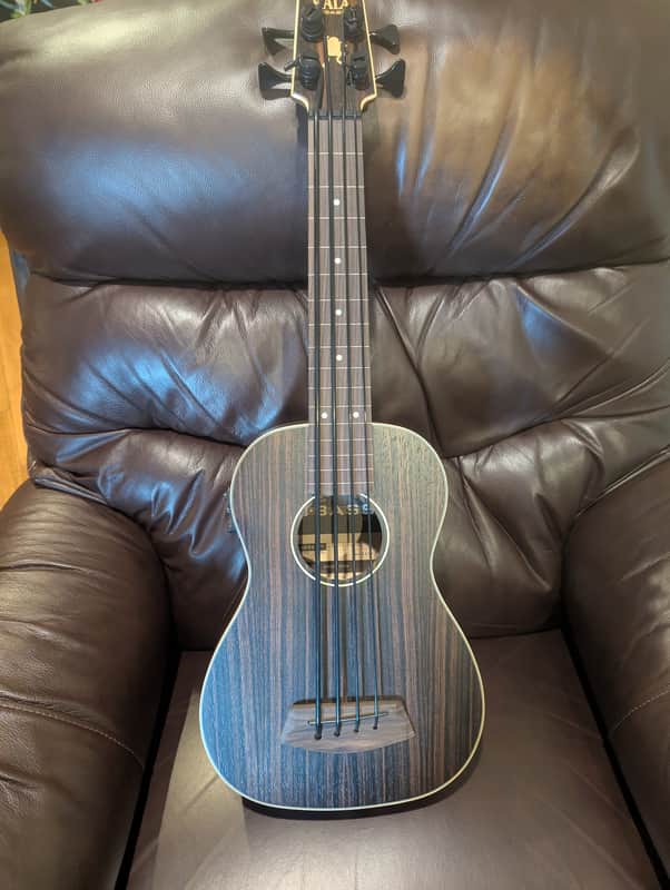 Kala U-Bass Fretless Striped Ebony with Bag image 1