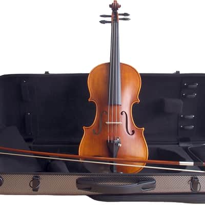 Stentor SR1880OFTA Violin 4/4, Handmade ProSeries Arcadia, Fernambuk Bogen, DeLuxe Case Polycarbonat image 1