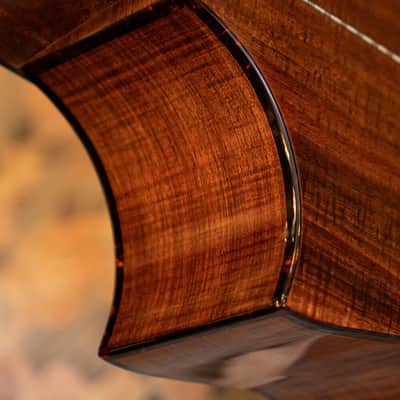 Cort LUXEII Luxe Series Frank Gambale Concert Body Mahogany Nek 6-String Acoustic-Electric Guitar w/Hard Case image 14