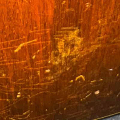 Epiphone FT-45 Cortez 1964 - Natural image 14