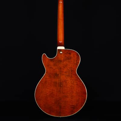 Ibanez AG95MGDA, AG Expressionist, Mango top/back/sides, Gold Hardware image 7