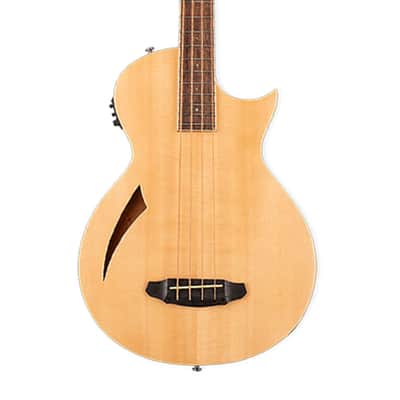 ESP LTD TL-4 Acoustic-Electric Bass Guitar - Natural image 3