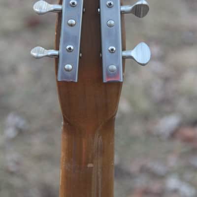 1964 Danelectro Convertible/Acoustic image 7