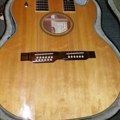 Double Neck Washburn Accoustic Electric Guitar image 1
