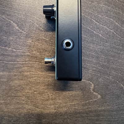 Acorn Amplifiers Epstein Didn't Kill Himself Fuzz image 8