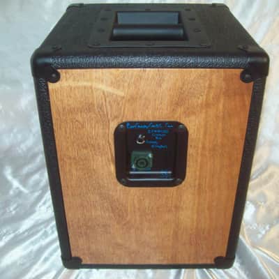 EarCandy Ethan 1x10 Bass speaker cab  Black & Trans Mahogany Beta 250 watts @ 8 Ohms 50 to 3,800 Hz image 3
