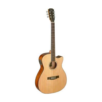 James Neligan BES-ACE N Auditorium Solid Spruce Top Mahogany Neck 6-String Acoustic-Electric Guitar image 1