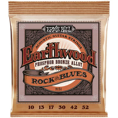 Ernie Ball Earthwood EB2151 .010-052 Phosphor Bronze image 1