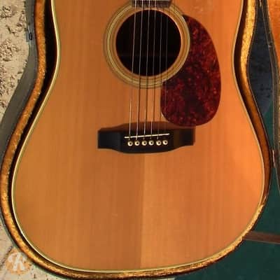 Martin Shenandoah D-2832