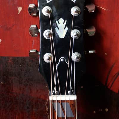 Early MIJ Lawsuit Dove by Mountain W-250 1974 image 6
