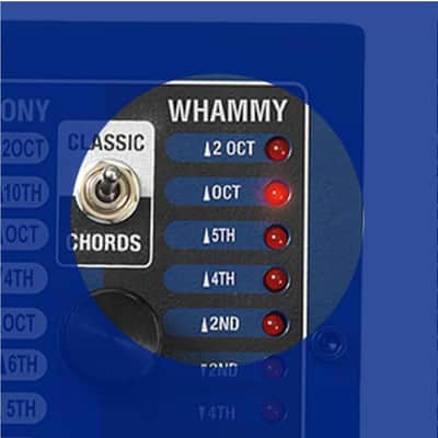 DIGITECH BASS WHAMMY Pitch-Shifting Polyphonic Chord MIDI FX Pedal image 7