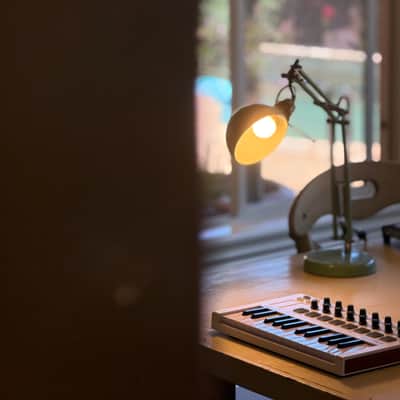 Arturia MiniLab MkII 25-Key MIDI Controller 2017 - Present - White image 5