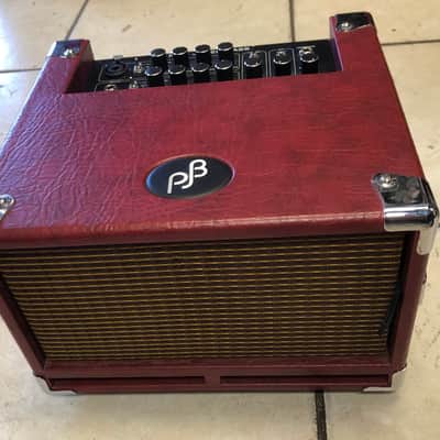 Phil Jones BG-100 Bass Cub 2x5 100w Combo Amp | Reverb