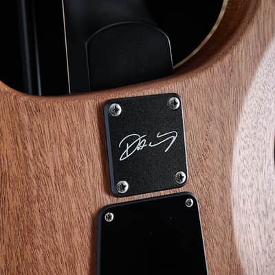 Paul Reed Smith DW CE 24 Floyd Dustie Waring Signature Black Top image 21