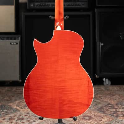 Taylor Doyle Dykes Signature Model Thin Body Grand Auditorium Acoustic/Electric Guitar with Hardshell Case image 9
