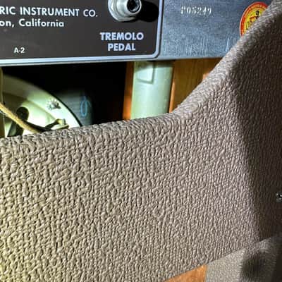Fender Princeton 1963 image 10