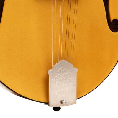 Gold Tone Grandmaster Elite Old Swiss/Italian Spruce Top 8-String Mandolin w/Hard Case image 5