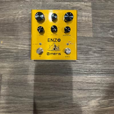 Meris Enzo 2018 - Gold image 1
