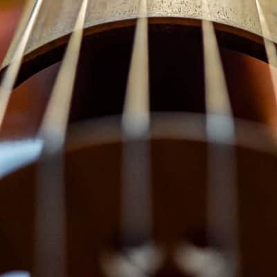 Viola da Gamba Helmut Buchsteiner 6 saitig 1977 - Varnish image 10