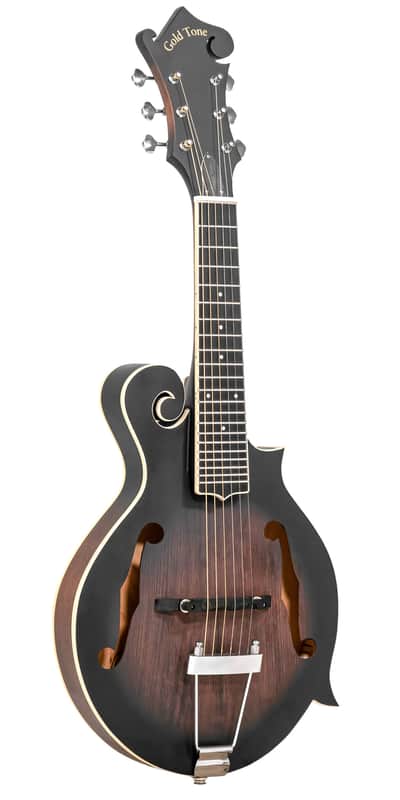 Gold Tone F-6 F-Style Mando-Guitar with Pickup and Case image 1
