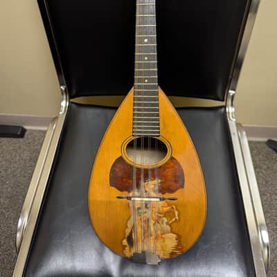 Martin Bowl Back Mandolin 1910 all original image 1
