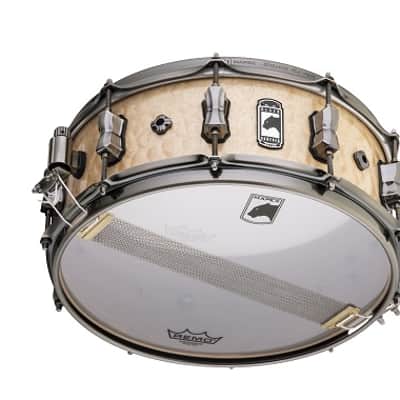 Mapex BPNMW4550LXN Black Panther Pegasus 14x5.5" Maple/Walnut Snare Drum - Natural Gloss image 3