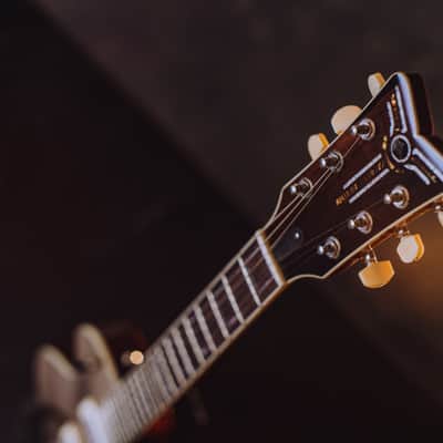 The Wolf Guitars Phoenix Custom Gold Top 2022 Gold / Mahogany brown image 6