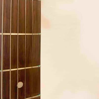 Vox Shadow Duo-Tone 1964 image 8