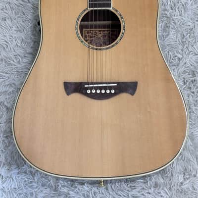 Tagima Canada Series Vancouver acoustic-electric guitar Model Vancouver-EQ-NA image 1