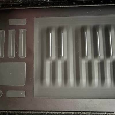 ROLI Seaboard RISE 25 image 3