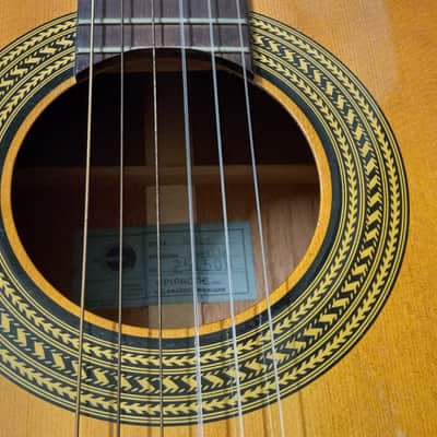 1962 Epiphone EC100 Seville Classical Guitar Kalamazoo Michigan image 6