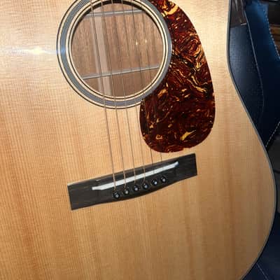 Huss and Dalton TD-M 2022 - Natural image 2