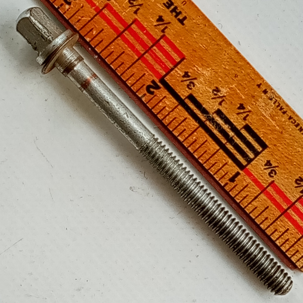 Rogers 2 3/4" T-Rod Snare/Tom Drum 12-24 Tension-Lug-Screw Holiday Cleveland 60s — main photograph