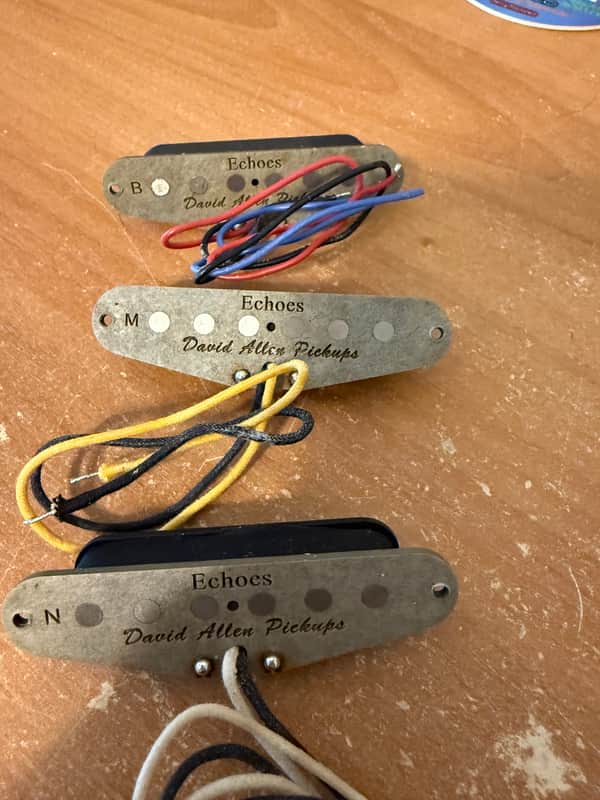 David Allen Echoes Strat Pickups image 1