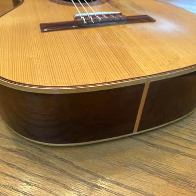 1978 Giannini AWN-21 - Natural Brazilian Rosewood/Jacaranda image 4