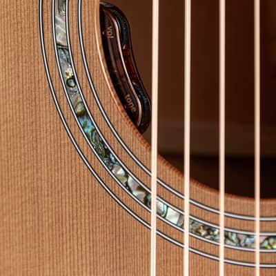 2025 Taylor Legacy 514ce Acoustic Electric Guitar - Natural with HSC image 13