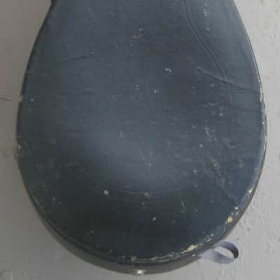Calace Mandolin 1905 - Natural image 14