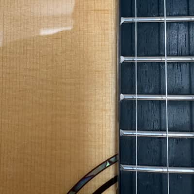 Alvarez LF70Le Daybreak Lefty Left Handed with original bag image 4