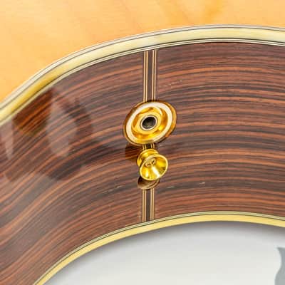 Daion Year Series '81 Gazelle / 12 String Electric Acoustic image 22