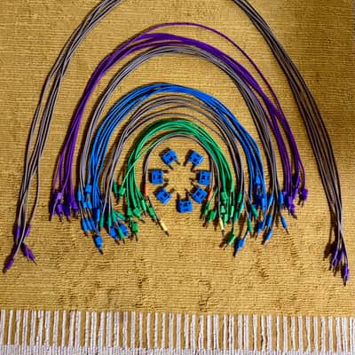 Buchla Music Easel - Retro Edition with Programmer, Aux Cards, Shorting Bars and Cables image 16