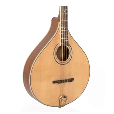 Gold Tone OM-800+ Octave Mandolin - Open Box image 1