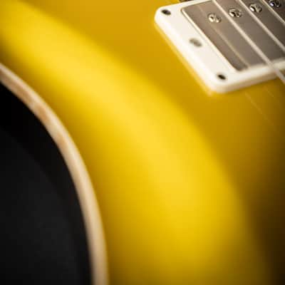 PRS DGT Gold Top Moons (0400580) image 10