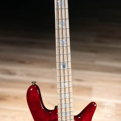 Spector Euro 4 LX Maple Fingberboard Bass Guitar – Black Cherry Gloss image 4