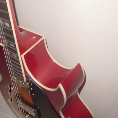Glen Burton GE775-CBS Hollow Body Chicago Maple Neck 6-String Electric Guitar w/Gig Bag, Strap & Picks image 6