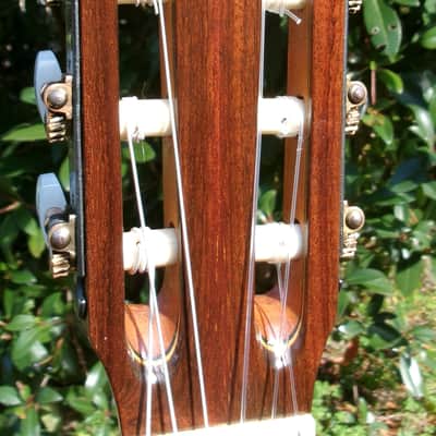 1975 Manuel G. Contreras (1st generation) Classical Guitar Calle Mayor 80, Madrid Cedar Top / Rosewood Body Original Hard Case image 8
